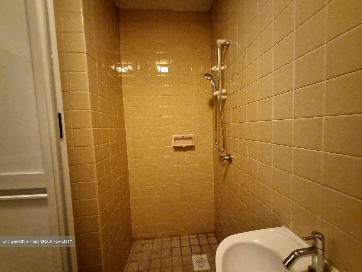 The Cairnhill (D9), Condominium #564760351